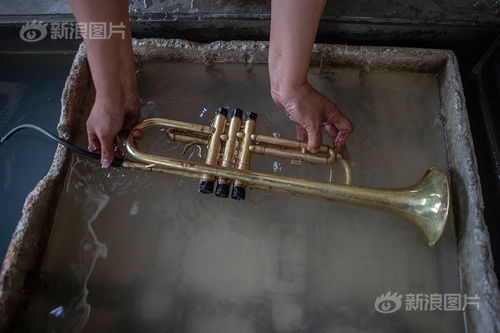 一個都不能少 他們在音符中致富